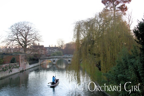 Tourists punting on the River Cam.