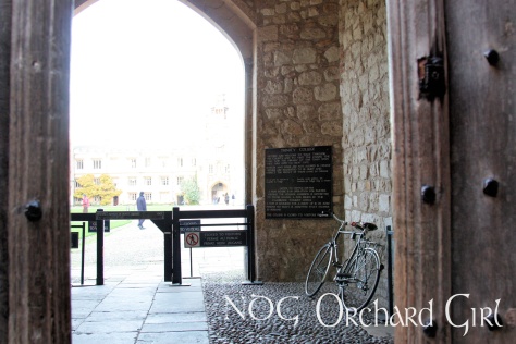 A bicycle waiting for its owner in the portico of Trinity College.